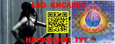 шишки Конаково