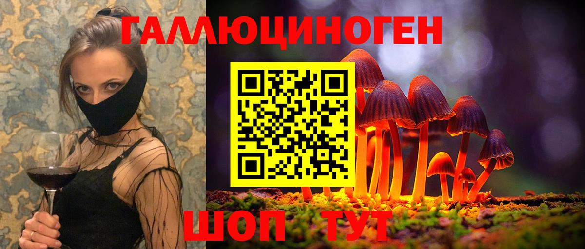 Киров  Псилоцибиновые грибы GOLDEN TEACHER  Вход с VPN  где можно купить   Галлюциногенные грибы мухоморы 
